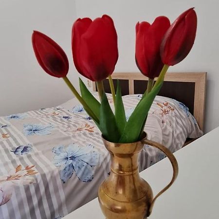 Studio Pico Cluj-Napoca Esterno foto