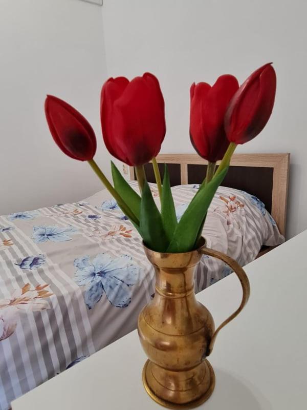Studio Pico Cluj-Napoca Esterno foto